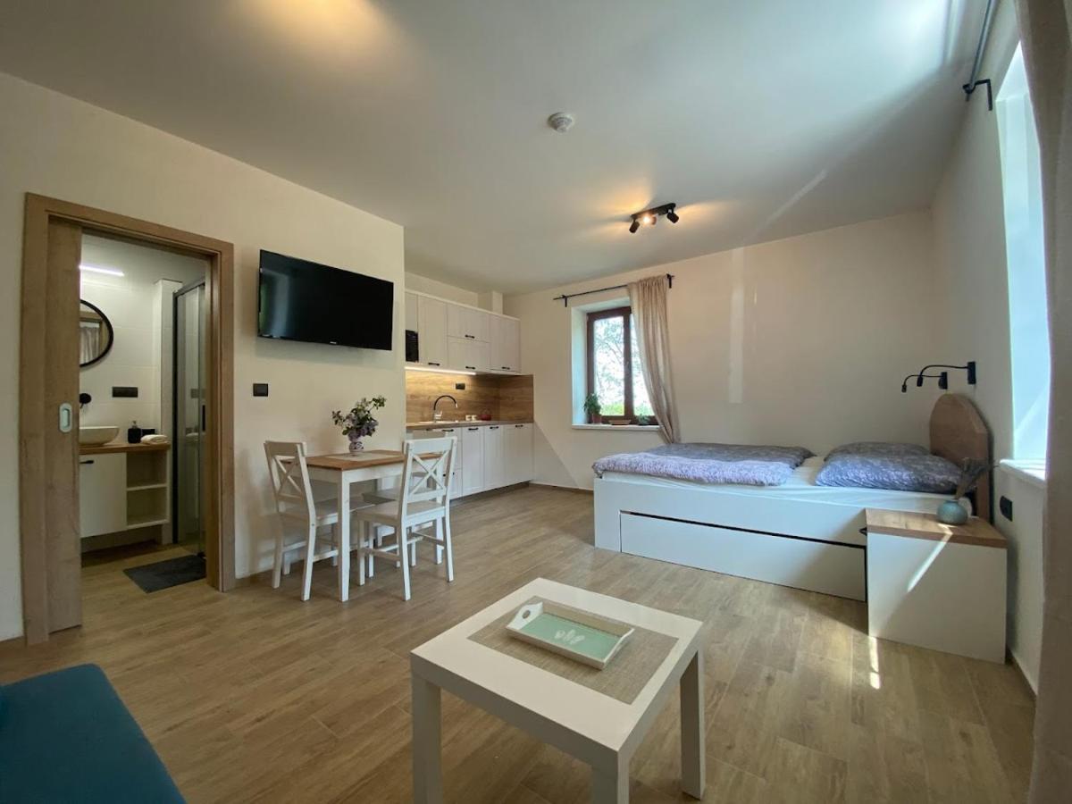 Ruzickuv Dvur Apartment Hranice  Exterior photo